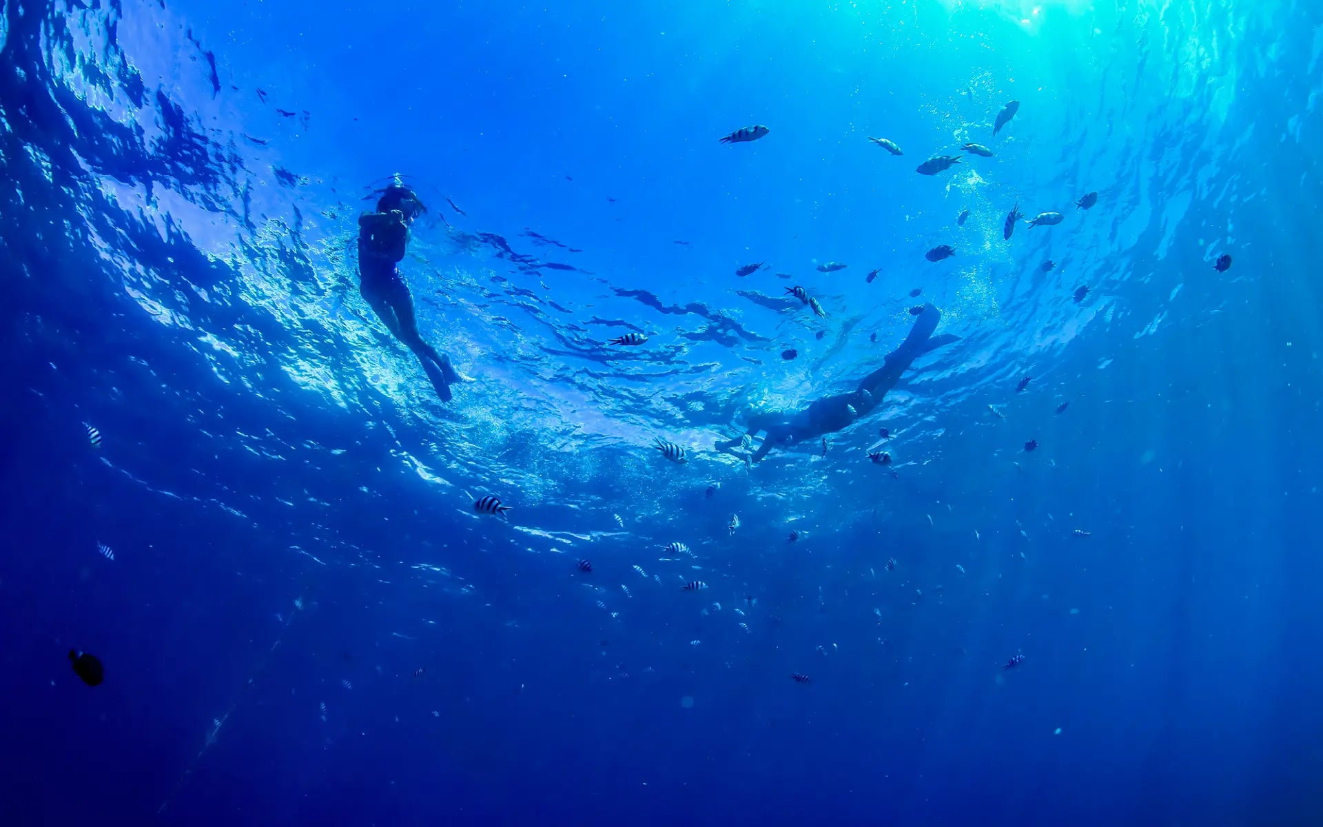沖縄の海でシュノーケリング